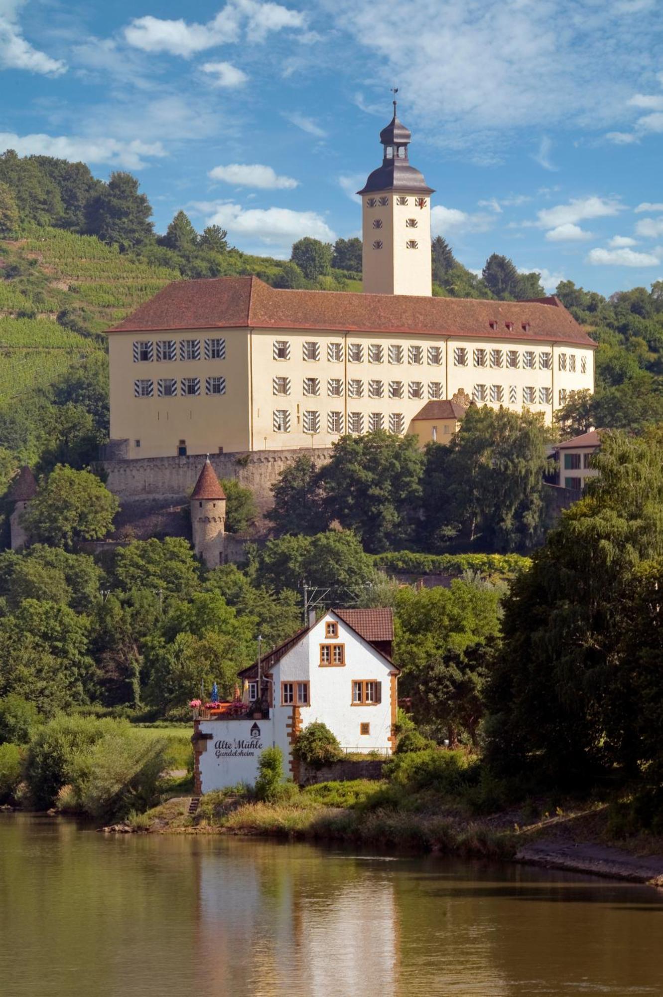 Hotel Schell Schokoladen à Gundelsheim  Extérieur photo